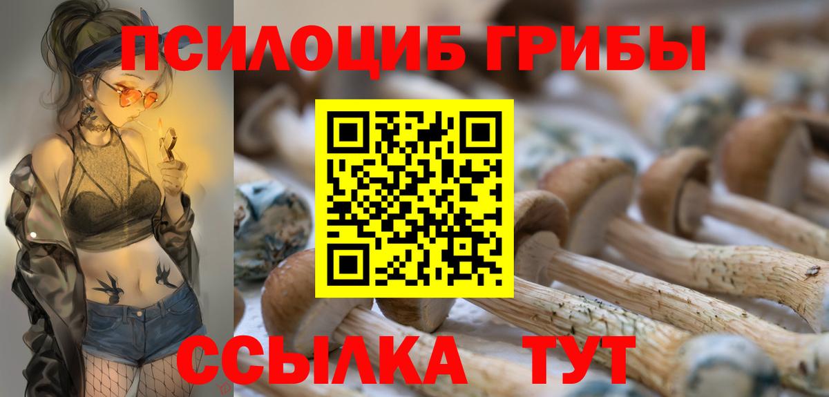 Ртищево  Псилоцибиновые грибы прущие грибы  Галлюциногенные грибы мицелий  Вход с VPN 